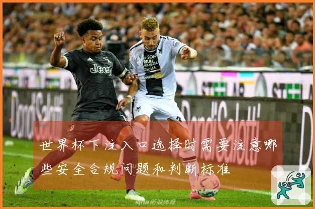世界杯下注入口选择时需要注意哪些安全合规问题和判断标准
