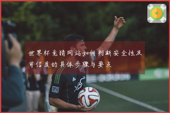 世界杯竞猜网站如何判断安全性及可信度的具体步骤与要点