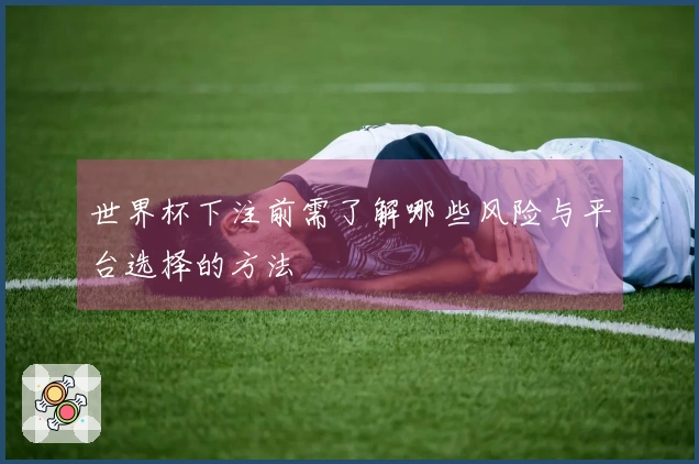 世界杯下注前需了解哪些风险与平台选择的方法