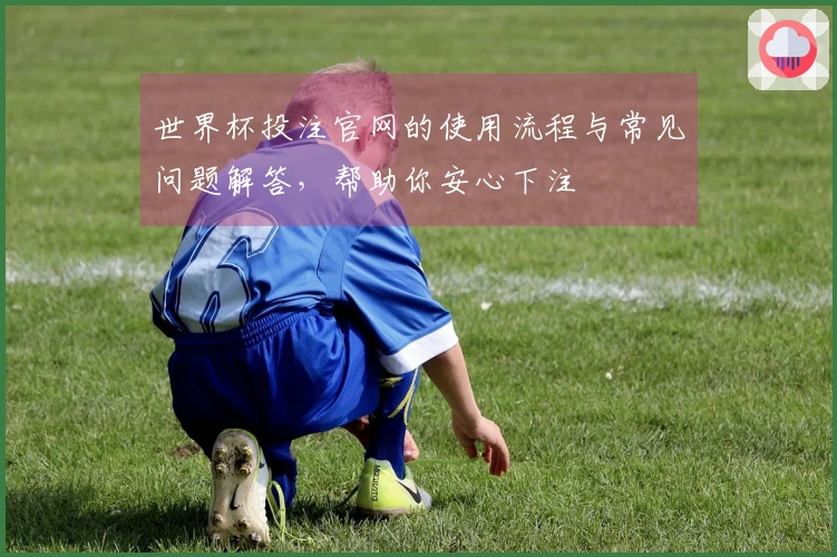 世界杯投注官网的使用流程与常见问题解答，帮助你安心下注